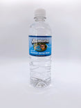 Mountain Spring Water (all sizes)